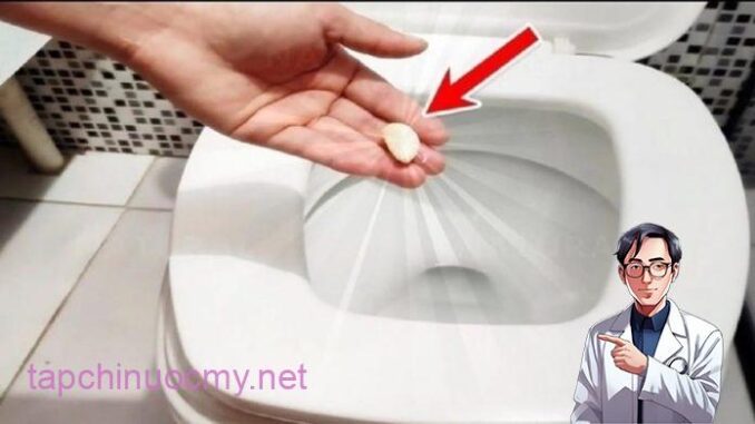 Lấy 1 tép tỏi thả vào bồn cầu: Tưởng nghịch dại hóa ra công dụng tuyệt vời ai cũng muốn học theo Lấy 1 tép tỏi thả vào bồn cầu: Tưởng nghịch dại hóa ra công dụng tuyệt vời ai cũng muốn học theo