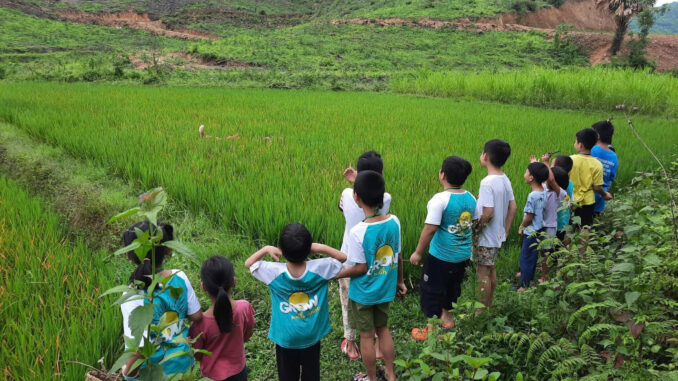 Phụ huynh nào cho con đi trại hè của nữ MC VTV này thì cẩn thận: Đóng gần 10 triệu, con về bị viêm da, 8 ngày không dám đi vệ sinh Phụ huynh nào cho con đi trại hè của nữ MC VTV này thì cẩn thận: Đóng gần 10 triệu, con về bị viêm da, 8 ngày không dám đi vệ sinh