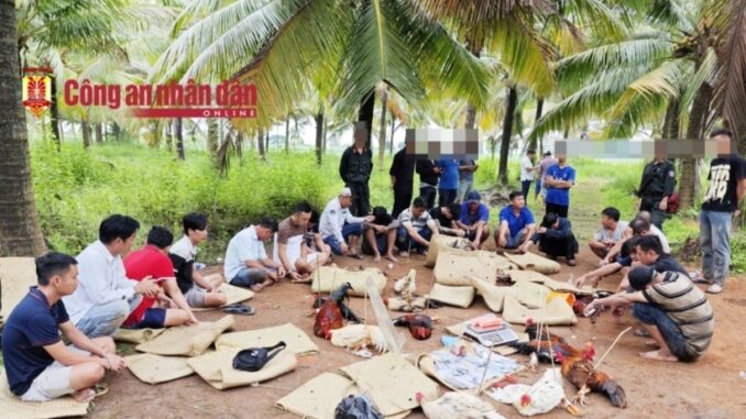 Triệt phá trường gà sát phạt hơn 1,6 tỷ đồng ở Cần Thơ, tạm giữ hình sự 8 người Triệt phá trường gà sát phạt hơn 1,6 tỷ đồng ở Cần Thơ, tạm giữ hình sự 8 người