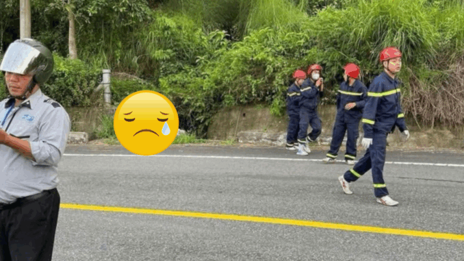 Trời ơi lại là bán đảo Sơn Trà: Cả nước x:.ót xa Trời ơi lại là bán đảo Sơn Trà: Cả nước x:.ót xa