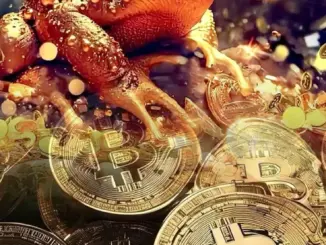 Cóc Ngậm Tiền Thu Hút Tài Lộc nhưng đặt sai hướng Tiền đội nón ra đi. Nên đặt cóc quay ra hay quay vào? Tất cả cảm xúc:617617