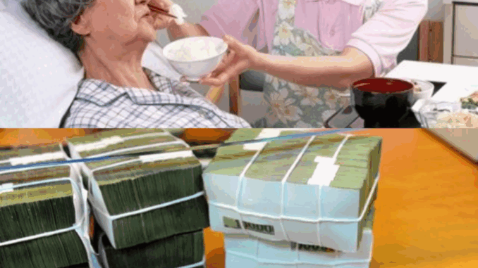 Cho giúp việc thân tín vay 1 tỷ đồng về quê xây nhà rồi mất liên lạc: 10 năm sau tôi nhận được cuộc gọi lạ khiến tôi không giữ được bình tĩnh Cho giúp việc thân tín vay 1 tỷ đồng về quê xây nhà rồi mất liên lạc: 10 năm sau tôi nhận được cuộc gọi lạ khiến tôi không giữ được bình tĩnh