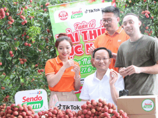 Phó Chủ tịch tỉnh trực tiếp bán vải trên mạng, tiêu thụ 54 tấn trong 6 tiếng