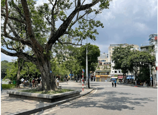 Miền Bắc lại đón mưa lớn XỐI XẢ sau nắng nóng cục bộ Miền Bắc lại đón mưa lớn XỐI XẢ sau nắng nóng cục bộ