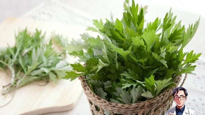 9 tác dụng tuyệt vời của ngải cứu đối với sức khỏe 9 tác dụng tuyệt vời của ngải cứu đối với sức khỏe