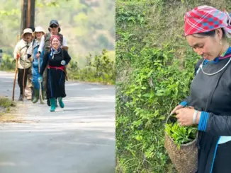 Vì sao “chị đẹp” dân tộc Tày lại trở thành hiện tượng sau Gia đình Haha: Phụ nữ phi thường dưới vẻ ngoài bình thường là đây!