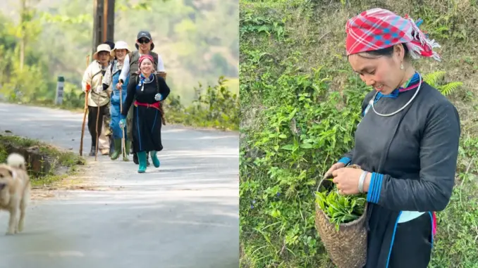 Vì sao “chị đẹp” dân tộc Tày lại trở thành hiện tượng sau Gia đình Haha: Phụ nữ phi thường dưới vẻ ngoài bình thường là đây!