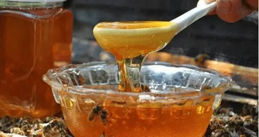 Uống mật ong đều dễ thọ tới 99 tuổi, nhưng đừng pha theo 5 cách này kẻo mất sạch dinh dưỡng, sinh đ:ộc tố Uống mật ong đều dễ thọ tới 99 tuổi, nhưng đừng pha theo 5 cách này kẻo mất sạch dinh dưỡng, sinh đ:ộc tố