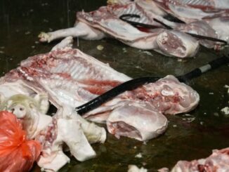 Phát hiện lò chuyên mổ, cung cấp lợn nhiễm virus tả ở Hà Nội