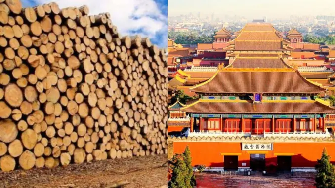 Tử Cấm Thành 600 năm không hư, đến mối cũng chào thua: Có "bùa" chống hủy diệt? Tử Cấm Thành 600 năm không hư, đến mối cũng chào thua: Có "bùa" chống hủy diệt?