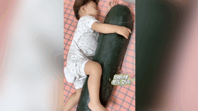Ôm bí đao ngủ: Cách giải nhiệt độc đáo của người Trung Quốc giữa mùa nắng nóng Ôm bí đao ngủ: Cách giải nhiệt độc đáo của người Trung Quốc giữa mùa nắng nóng