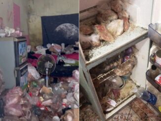 Vụ phòng trọ rác ‘chất như núi’ ở Ninh Bình: Hé lộ bất ngờ về cô gái thuê phòng