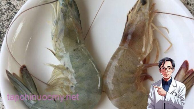 Người bán tôm rỉ tai: Cách phân biệt tôm nuôi và tôm tự nhiên cực dễ, ai cũng làm được