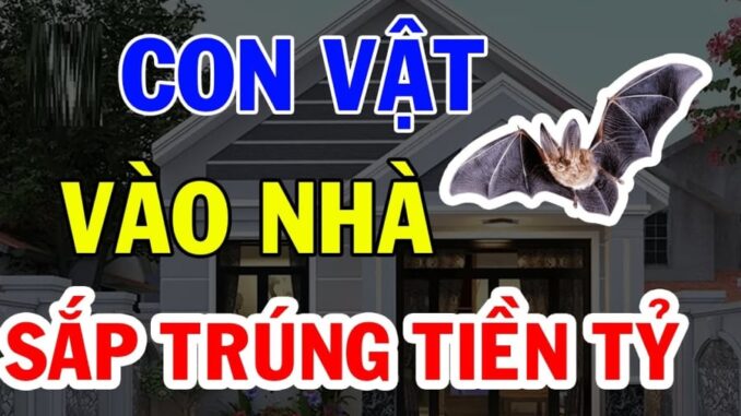 4 con vật Đệ Tử Thần Tài, vào nhà mang theo Tiền của, chớ dại mà xua đuổi
