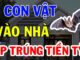4 con vật Đệ Tử Thần Tài, vào nhà mang theo Tiền của, chớ dại mà xua đuổi