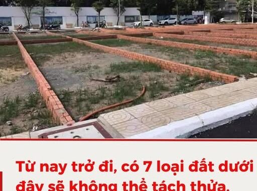 Có 7 loại đất không thể tách thửa, ai cũng cần biết tránh rủi ro Có 7 loại đất không thể tách thửa, ai cũng cần biết tránh rủi ro