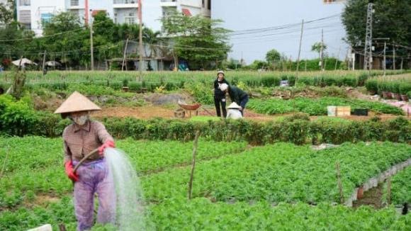 Từ nay, ai chưa chuyển đất vườn tạp sang đất ở thì làm ngay vì chỉ phải nộp 3 khoản phí Từ nay, ai chưa chuyển đất vườn tạp sang đất ở thì làm ngay vì chỉ phải nộp 3 khoản phí