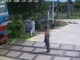 Ra giữa đường ray khi gác chắn đã hạ, người đàn ông bị tàu tông tử vong tại chỗ