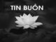 Đồng chí Đại tá NGUYỄN BỘI GIONG từ trần