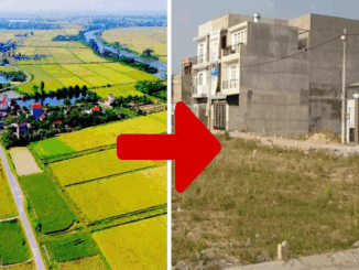 Chi phí chuyển đất nông nghiệp sang đất thổ cư 2025 là bao nhiêu?