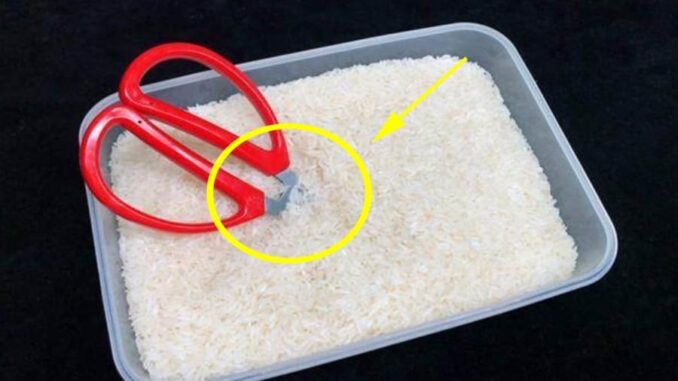 Cắm kéo vào thùng gạo: Mẹo hay mang lại nhiều công dụng, tiết kiệm tiền triệu mỗi năm Cắm kéo vào thùng gạo: Mẹo hay mang lại nhiều công dụng, tiết kiệm tiền triệu mỗi năm