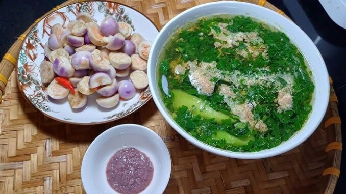 Rau đay – Loại rau dân dã giúp giải nhiệt, bồi bổ mùa hè, giá rẻ như cho Rau đay – Loại rau dân dã giúp giải nhiệt, bồi bổ mùa hè, giá rẻ như cho
