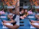 Vụ gián xuất hiện trong món ăn: Xử phạt nhà hàng 12 triệu đồng
