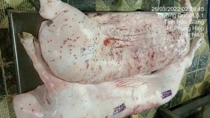 Đã rõ số phận của cựu nhân viên bán hàng sau khi Bộ Công an vào cuộc điều tra vụ người p;;hát tán hình ảnh C.P. bán heo b;;;ệnh Đã rõ số phận của cựu nhân viên bán hàng sau khi Bộ Công an vào cuộc điều tra vụ người p;;hát tán hình ảnh C.P. bán heo b;;;ệnh