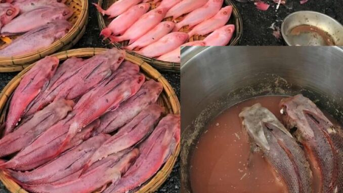 Công an điều tra vụ cá biển Đà Nẵng nghi nhuộm phẩm màu do có màu đỏ lạ, tiểu thương nói “rửa cá bằng sting vị dâu cho màu đẹp” Công an điều tra vụ cá biển Đà Nẵng nghi nhuộm phẩm màu do có màu đỏ lạ, tiểu thương nói “rửa cá bằng sting vị dâu cho màu đẹp”