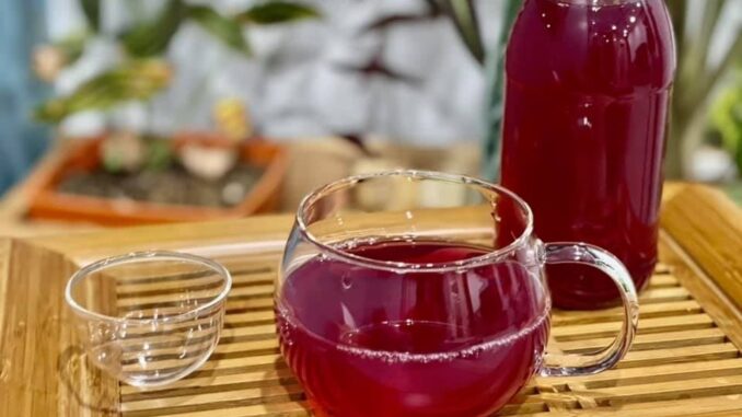 Uống nước lá tía tô có thể giải quyết được 6 vấn đề sau 1 tuần