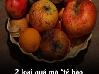 2 loại quả mà “tế bào uпg thư rất yêu thích”, đọc ngay để biết tránh xa