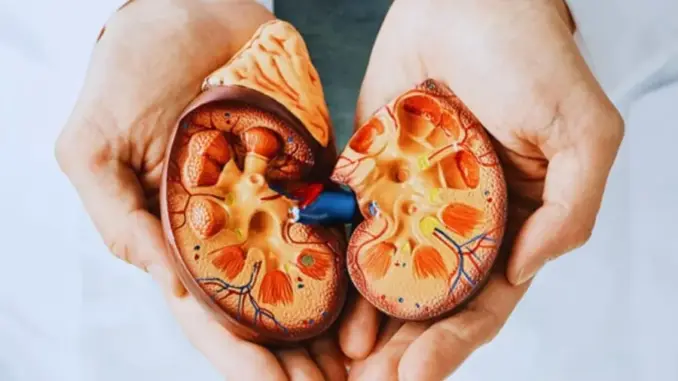 7 dấu hiệu vào buổi tối cảnh báo suy thận, đừng chủ quan kẻo chạy thận cả đời 7 dấu hiệu vào buổi tối cảnh báo suy thận, đừng chủ quan kẻo chạy thận cả đời