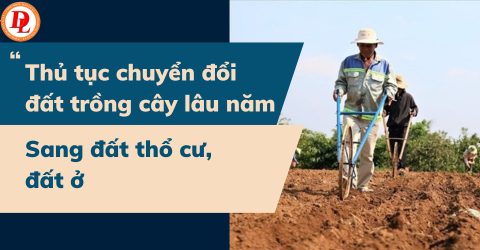 Thủ tục chuyển đổi đất trồng cây lâu năm sang đất thổ cư, đất ở Thủ tục chuyển đổi đất trồng cây lâu năm sang đất thổ cư, đất ở