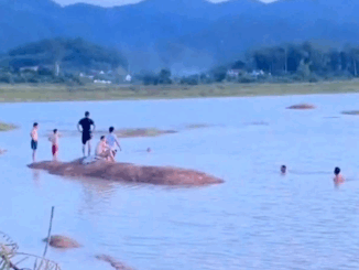 Trời ơi, lại vụ việc thương tâm ở đập nước tỉnh Nghệ An, thế này còn ai dám đến đây chơi