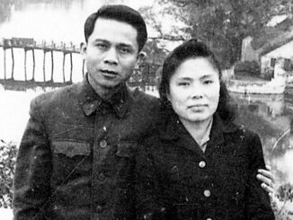 2 câu chuyện người bố ông Hoàng Nam Tiến dạy con khiến ai nghe cũng rưng rưng: Con khỉ mất mẹ và chiếc bát vỡ: