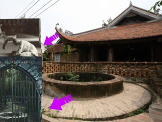 Câu nói: ‘Một người không vào chùa, hai người không nhìn giếng, ba người không ôm cây’. Tại sao?
