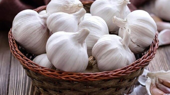 5 loại tỏi không nên mua – đến cả người bán cũng không dám ăn!