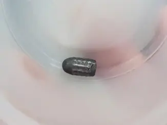 Đã tìm ra người bắn súng hơi khiến đạn lạc trúng đầu người phụ nữ làm vườn