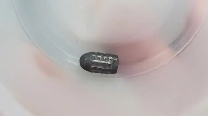 Đã tìm ra người bắn súng hơi khiến đạn lạc trúng đầu người phụ nữ làm vườn Đã tìm ra người bắn súng hơi khiến đạn lạc trúng đầu người phụ nữ làm vườn