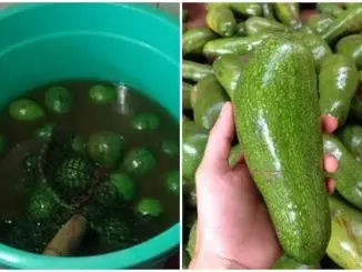 Nhà 3 đời bán hoa quả, mẹ tôi dặn có 12 loại quả 90% ngâm thu:ố:c đ:ộ:c hại: Bán ế cũng không ăn