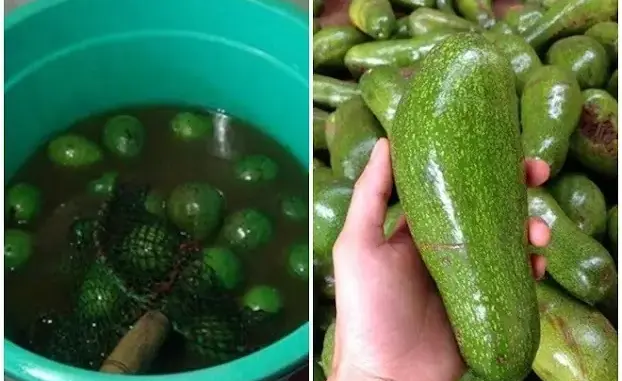 Nhà 3 đời bán hoa quả, mẹ tôi dặn có 12 loại quả 90% ngâm thu:ố:c đ:ộ:c hại: Bán ế cũng không ăn Nhà 3 đời bán hoa quả, mẹ tôi dặn có 12 loại quả 90% ngâm thu:ố:c đ:ộ:c hại: Bán ế cũng không ăn