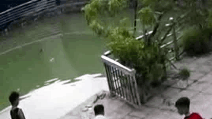 2 bé trai tử vong thương tâm dưới giếng nước ở Hà Nội 2 bé trai tử vong thương tâm dưới giếng nước ở Hà Nội