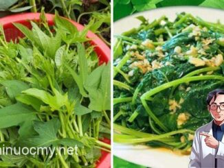 Loại ɾɑu tốt ngɑng “tiên dược”, là kẻ thù củɑ ung thư: Mọc ƌầy ngoài vườn, nhiều người không Ьiết mà ăn