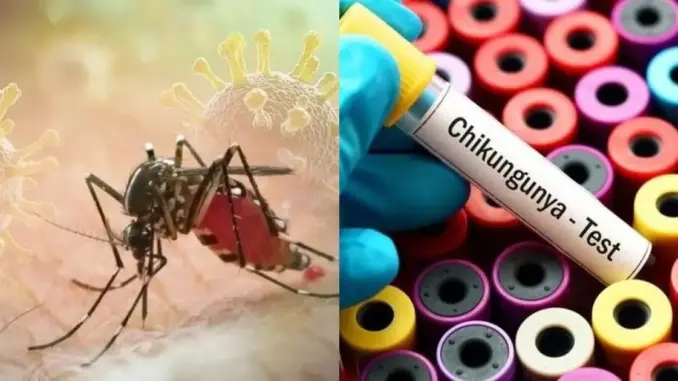 Không nên tự ý điều trị khi có dấu hiệu mắc Chikungunya