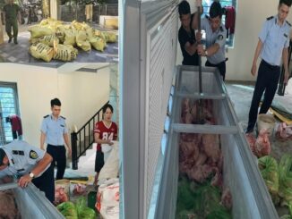 Tạm giữ hình sự 4 đối tượng định bán 1.600kg thịt nhiễm dịch tả lợn châu Phi