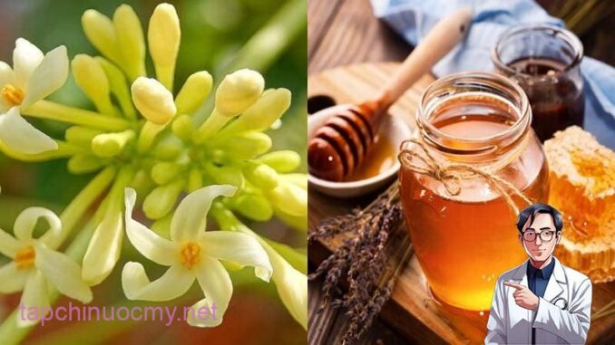 Hoa đu đủ đực ngâm cùng thứ này ‘quý như vàng’: Lợi ích tuyệt vời nhà nào cũng cần