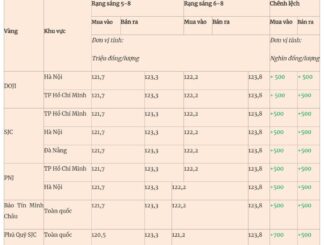 Giá vàng hôm nay 6-8: Vàng miếng sắp chạm mốc đỉnh lịch sử