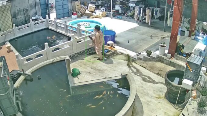 Vụ chồng bị vợ đạp xuống hồ cá Koi gây sốc: Người chồng đăng full clip, nói thật toàn bộ lý do