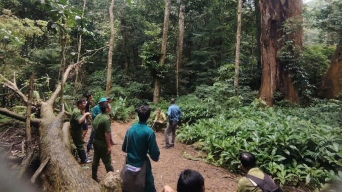 Vụ nam thanh niên tử vong ở rừng Cúc Phương: Vì sao nạn nhân để lại balô, điện thoại ở cửa hang?