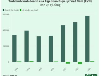 EVN bất ngờ báo lãi hơn 8.200 tỷ đồng năm 2024